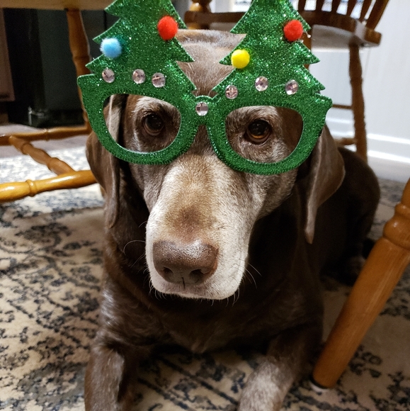 Meet your Posher, Becky - Posh Ambassador!!❤❤ - Picture 2 of 7